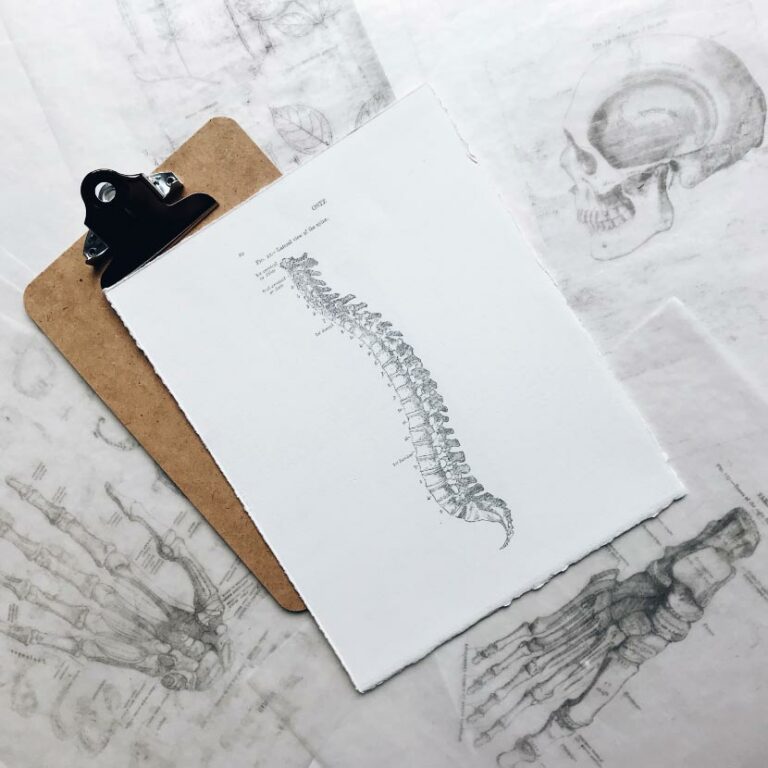 A diagram of the spine.